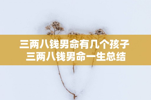 三两八钱男命有几个孩子 三两八钱男命一生总结