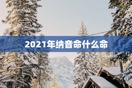 2025年纳音命什么命