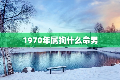 1970年属狗什么命男