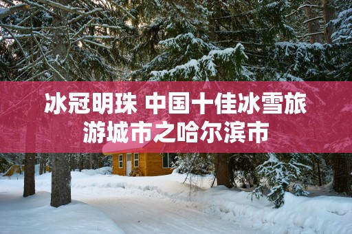 冰冠明珠 中国十佳冰雪旅游城市之哈尔滨市