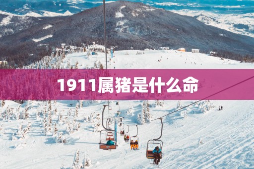 1911属猪是什么命