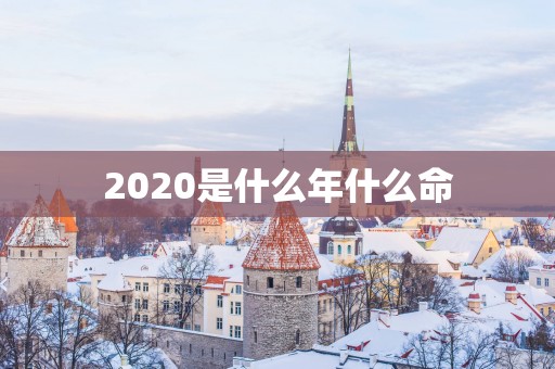 2025是什么年什么命