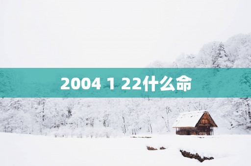 2004 1 22什么命