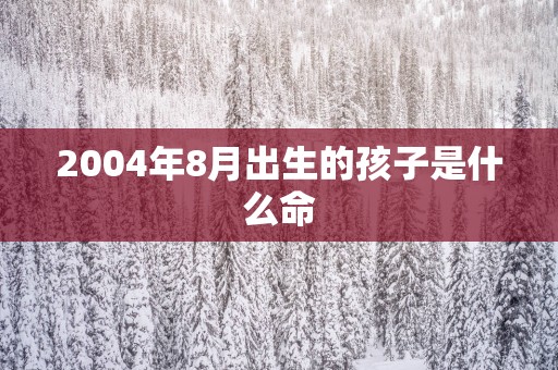 2004年8月出生的孩子是什么命