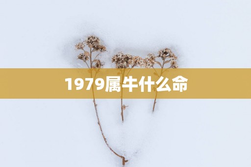 1979属牛什么命