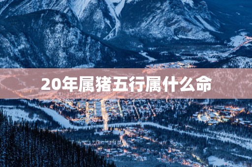 20年属猪五行属什么命