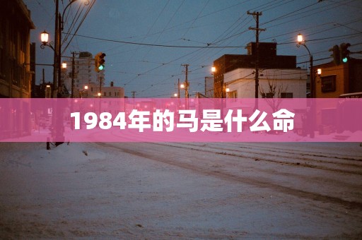 1984年的马是什么命