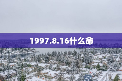 1997.8.16什么命