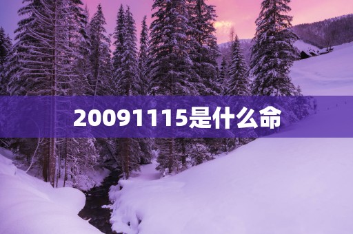 20091115是什么命