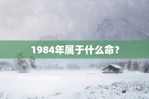 1984年属于什么命？