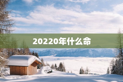 20250年什么命
