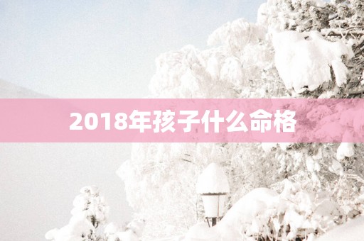 2018年孩子什么命格