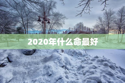 2025年什么命最好