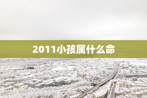 2011小孩属什么命