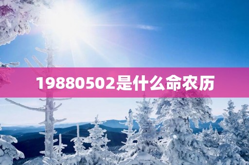 19880502是什么命农历