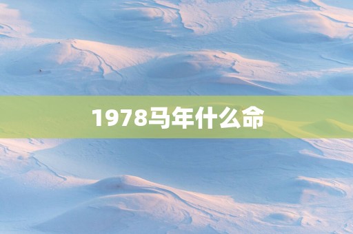 1978马年什么命