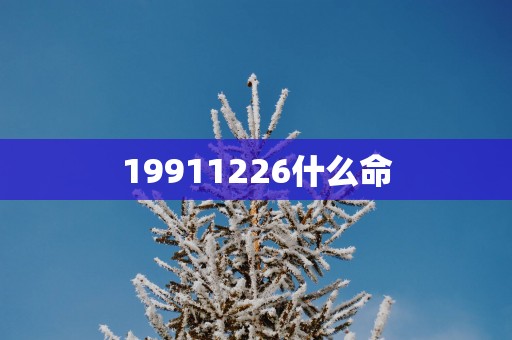 19911226什么命
