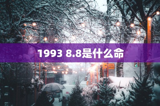 1993 8.8是什么命