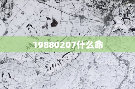 19880207什么命