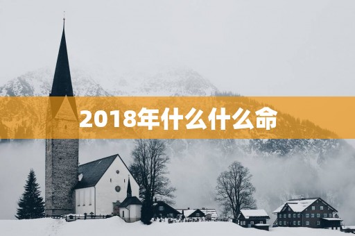 2018年什么什么命