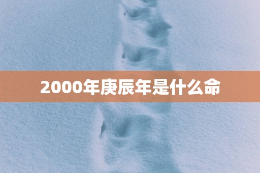 2000年庚辰年是什么命