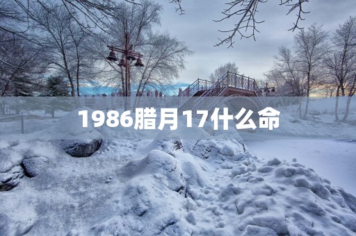 1986腊月17什么命 1986腊月17什么命