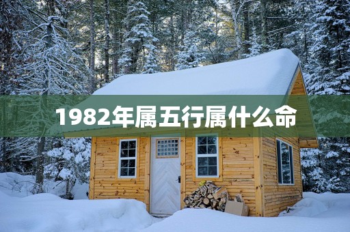 1982年属五行属什么命