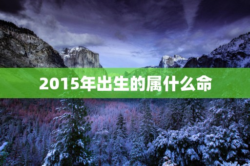 2015年出生的属什么命