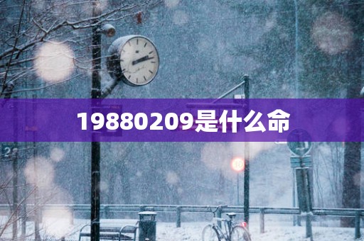 19880209是什么命