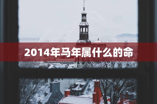 2014年马年属什么的命