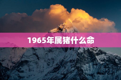 1965年属猪什么命