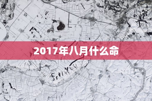 2017年八月什么命
