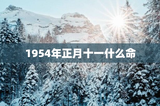 1954年正月十一什么命