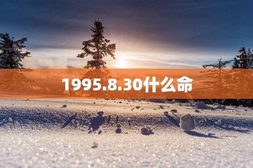 1995.8.30什么命