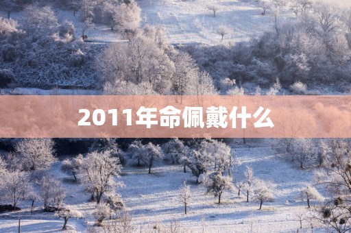 2011年命佩戴什么