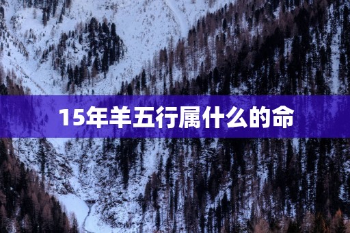 15年羊五行属什么的命