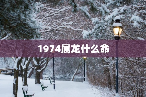 1974属龙什么命