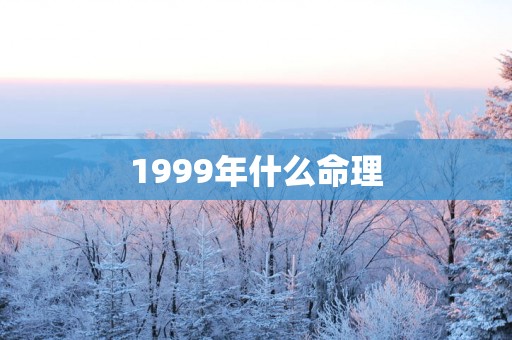 1999年什么命理
