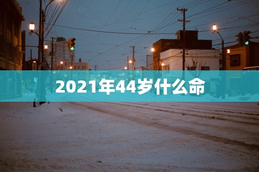 2025年44岁什么命