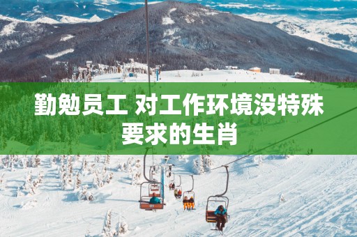 勤勉员工 对工作环境没特殊要求的生肖
