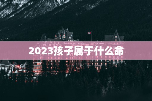 2025孩子属于什么命