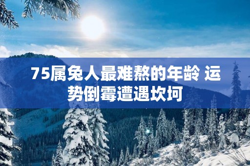 75属兔人最难熬的年龄 运势倒霉遭遇坎坷