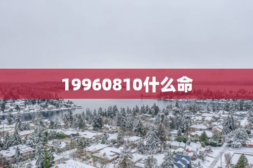 19960810什么命