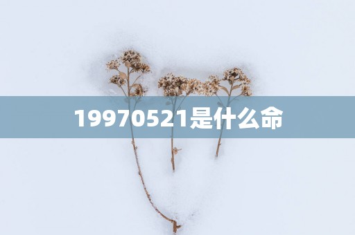 19970521是什么命
