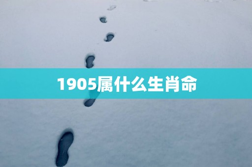 1905属什么生肖命