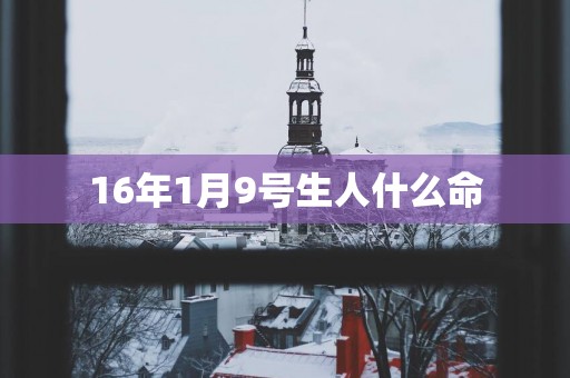 16年1月9号生人什么命