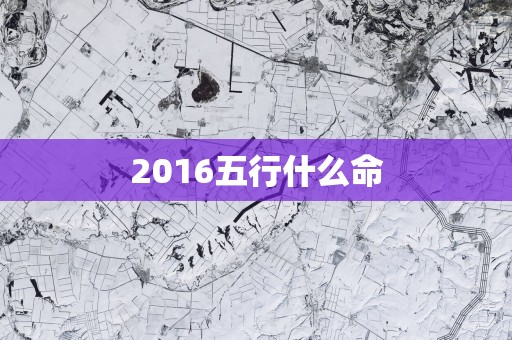 2016五行什么命