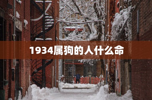 1934属狗的人什么命