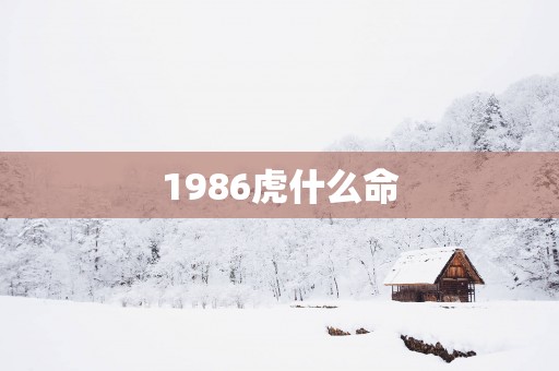 1986虎什么命