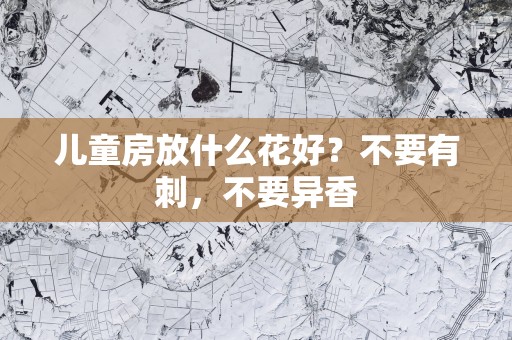 儿童房放什么花好？不要有刺，不要异香